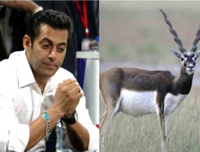 काले हिरन शिकार मामले का फैसला सुनने जोधपुर पहुंचे सलमान, सैफ समेत सभी आरोपी